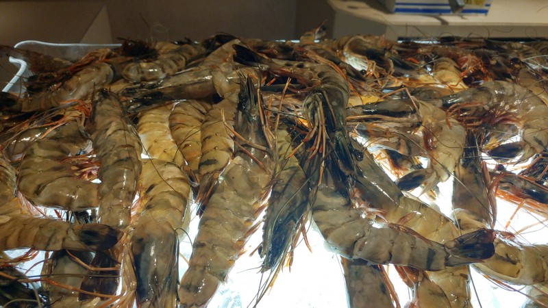 Seafood Night at Mosaic